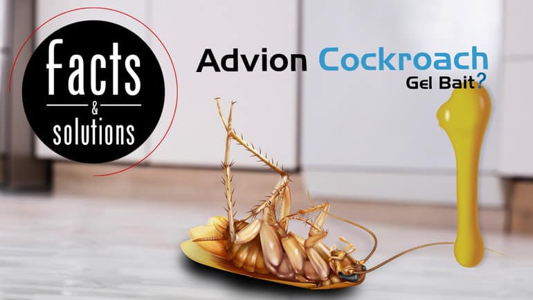 Advion cockroach Gel Купить в Ташкенте